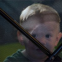 Манеж :: **** vedin