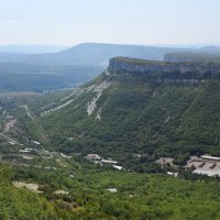 Природа Крыма :: Amazing Cosmea