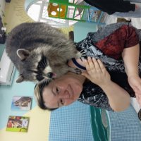 Еноты ❤ :: Юлия Чертищева /