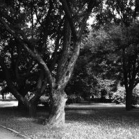 /// :: Виктор Никитенко