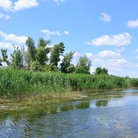 Местные виды. :: Виктор 