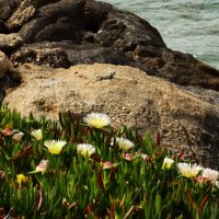 Берег :: Юрий. Шмаков Берег :: Юрий. Шмаков