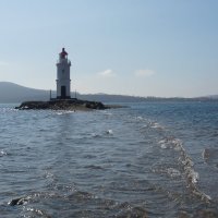 Токаревская кошка :: Наталья Т