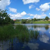 Пруд,лето... :: Алена