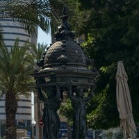 *Хайфа * 2025год , :: ujgcvbif 