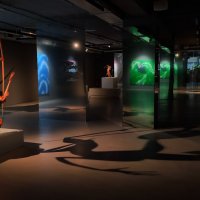 Галерея Виктора Бронштейна :: Надежда Чернецкая