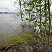 Вода наступает... :: Николай Гирш