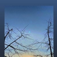 Рассветная свеча :: mvictoriya 