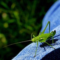 в последний день июня 2 :: Александр Прокудин