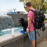 Чёрному жарко :: Константин Бобинский