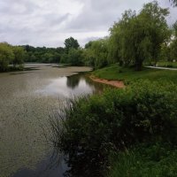 Июнь уж отступил. Он был таким. Июни не выбирают :-) :: Андрей Лукьянов