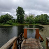 Июнь уж отступил. Он был таким. Июни не выбирают :-) :: Андрей Лукьянов Июнь уж отступил. Он был таким. Июни не выбирают :-) :: Андрей Лукьянов