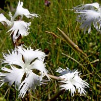 ПО ГОРАМ. :: Виктор Осипчук ПО ГОРАМ. :: Виктор Осипчук