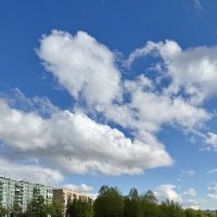 Парк Ангарские пруды, Москва :: mvictoriya 