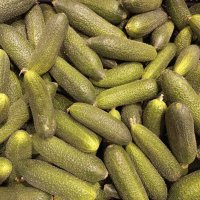 Луховицкие :: Валерий Иванович