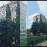 Окна с воротами из деревьев. :: Игорь Солдаткин