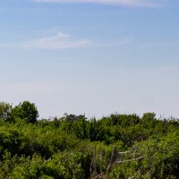 Дачный пейзаж :: Светлана SvetNika17