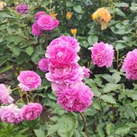 ,,, :: Сергей Тимоновский