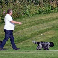 По привычному маршруту :: Alexandеr P