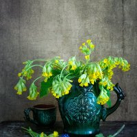 Примула :: Лидия Суюрова Примула :: Лидия Суюрова