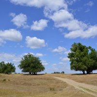 Мои дороги. :: Виктор 