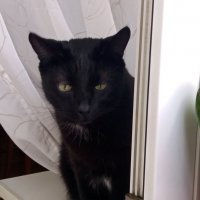 Опять дождь... :: Galina Solovova Опять дождь... :: Galina Solovova