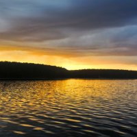 Полоса по лесам золотая легла :: Hope 