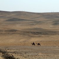 lonely :: Игорь 