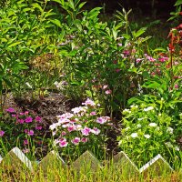 Июнь...Цветник у Храма Всех Святых! :: Владимир 