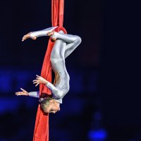 Гимнастика :: SanSan 