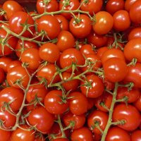 Черри :: Валерий Иванович