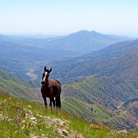 ПО ГОРАМ. :: Виктор Осипчук ПО ГОРАМ. :: Виктор Осипчук