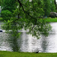 ПРУД :: Виктор Никитенко