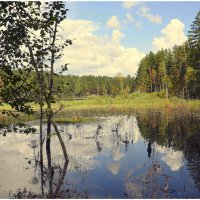 Зотопило :: Aleksandr Gal