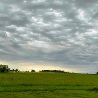 Starp Jāņiem un Pēteriem :: Arturs Ancans