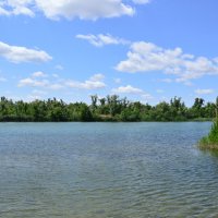 Местная река. :: Виктор 