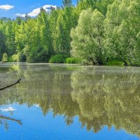 Старый пруд :: Владимир Езеров 