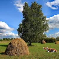 Наступает пора сенокоса. :: Николай Рубцов