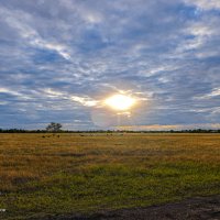 Закат. :: Сергей Гибков