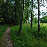 Июль наступил. Осталось дождаться наступления лета :: Андрей Лукьянов Июль наступил. Осталось дождаться наступления лета :: Андрей Лукьянов