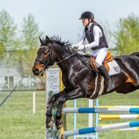 Конкур :: SanSan 