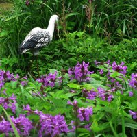 В саду :: Людмила Смородинская