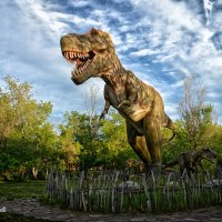 Мы вернулись!.. :: arkadii 