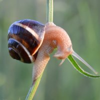 " Пол - дэнс ..." :: Надежда Куркина 