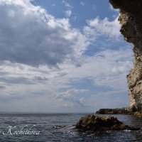 Природа Крыма :: Amazing Cosmea
