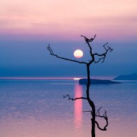 Дракон глотающий солнце 2 :: Вениамин Скородумов Дракон глотающий солнце 2 :: Вениамин Скородумов