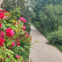 ,,, :: Сергей Тимоновский