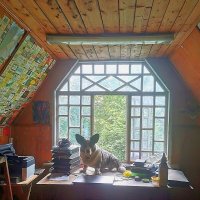 Хозяин :: Ольга Довженко Хозяин :: Ольга Довженко