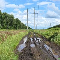 А коли дождь на 3 июля, то будет ещё идти 49 дней... :-( :: Андрей Заломленков
