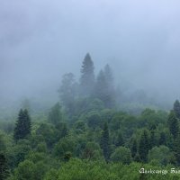 Аксаут :: Александр Богатырёв